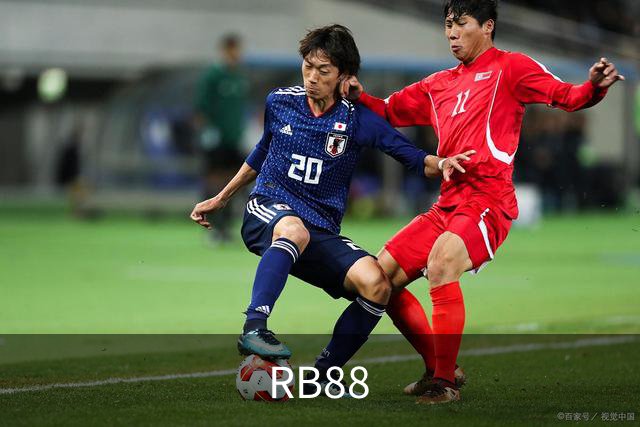 RB88公司简介图片